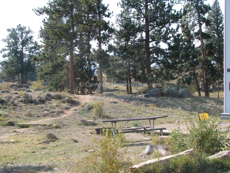 Campsite 111 in Moraine Park Campground at Rocky Mountain National Park